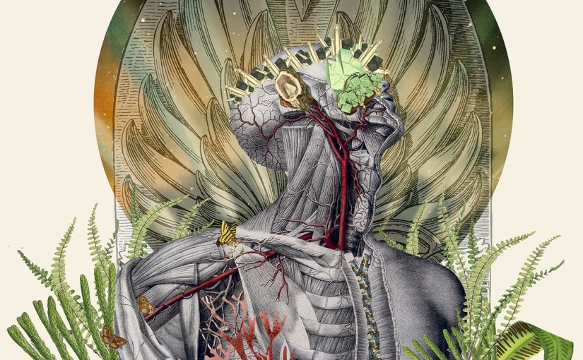 The Bloody Mallard – &laquo;&nbsp;Realm&nbsp;&raquo;