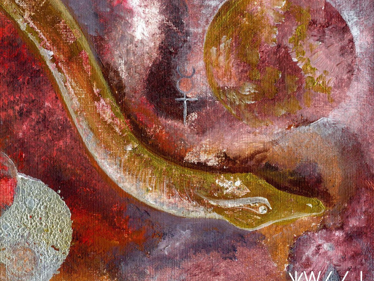 Wombat Interview #13 –&nbsp;Tassi